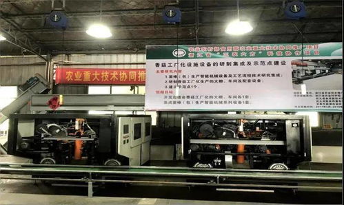 科技引領，協同創新 香菇工廠化生產開啟共同富裕新篇章