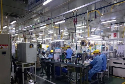 私家車、閑置房與“低收入人群”標簽 理解當下經濟現象的多元視角